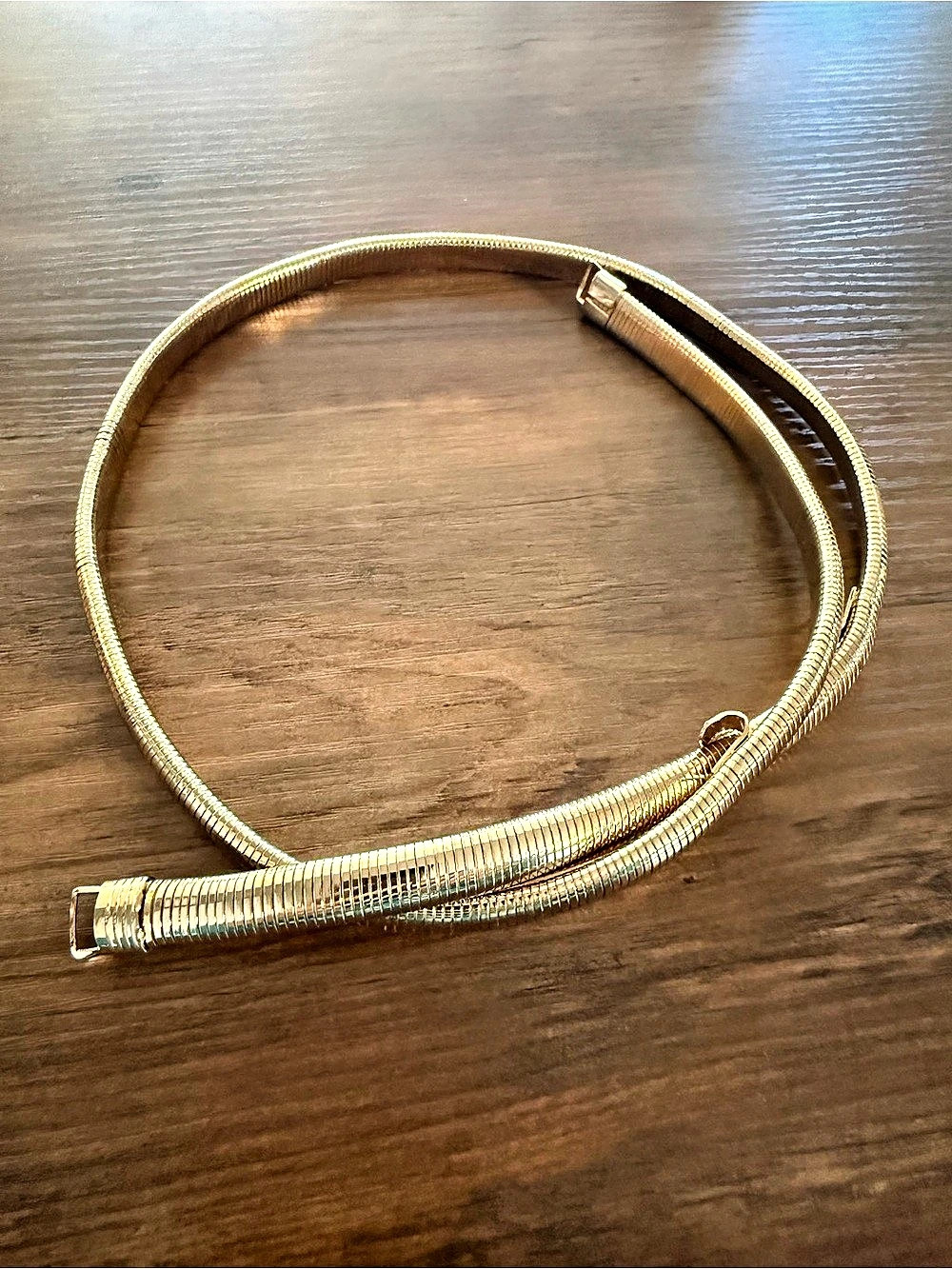 Vintage Gold Tone Snake Serpent Chain Metal Belt Adjustable Hook Closure Retro